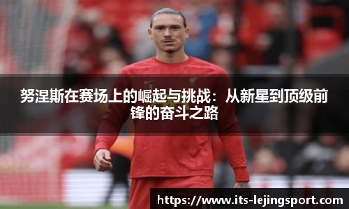 努涅斯在赛场上的崛起与挑战：从新星到顶级前锋的奋斗之路